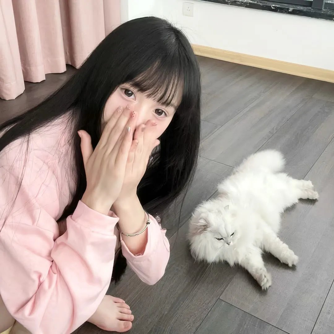 谎言背后